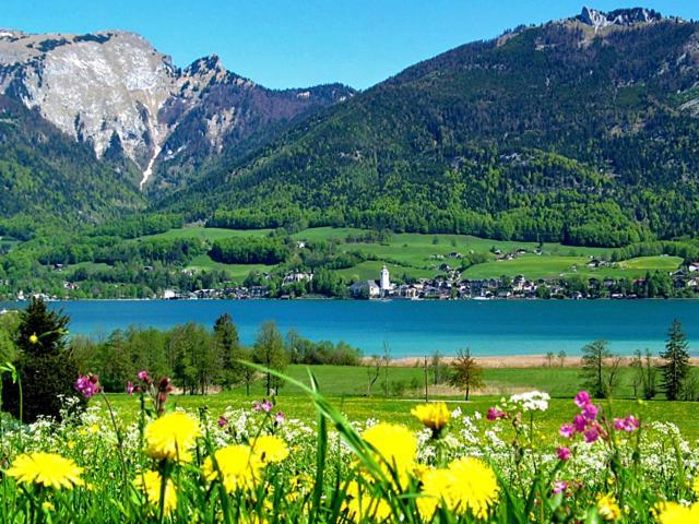 Haus Zimmermann Hotel Sankt Wolfgang im Salzkammergut ภายนอก รูปภาพ