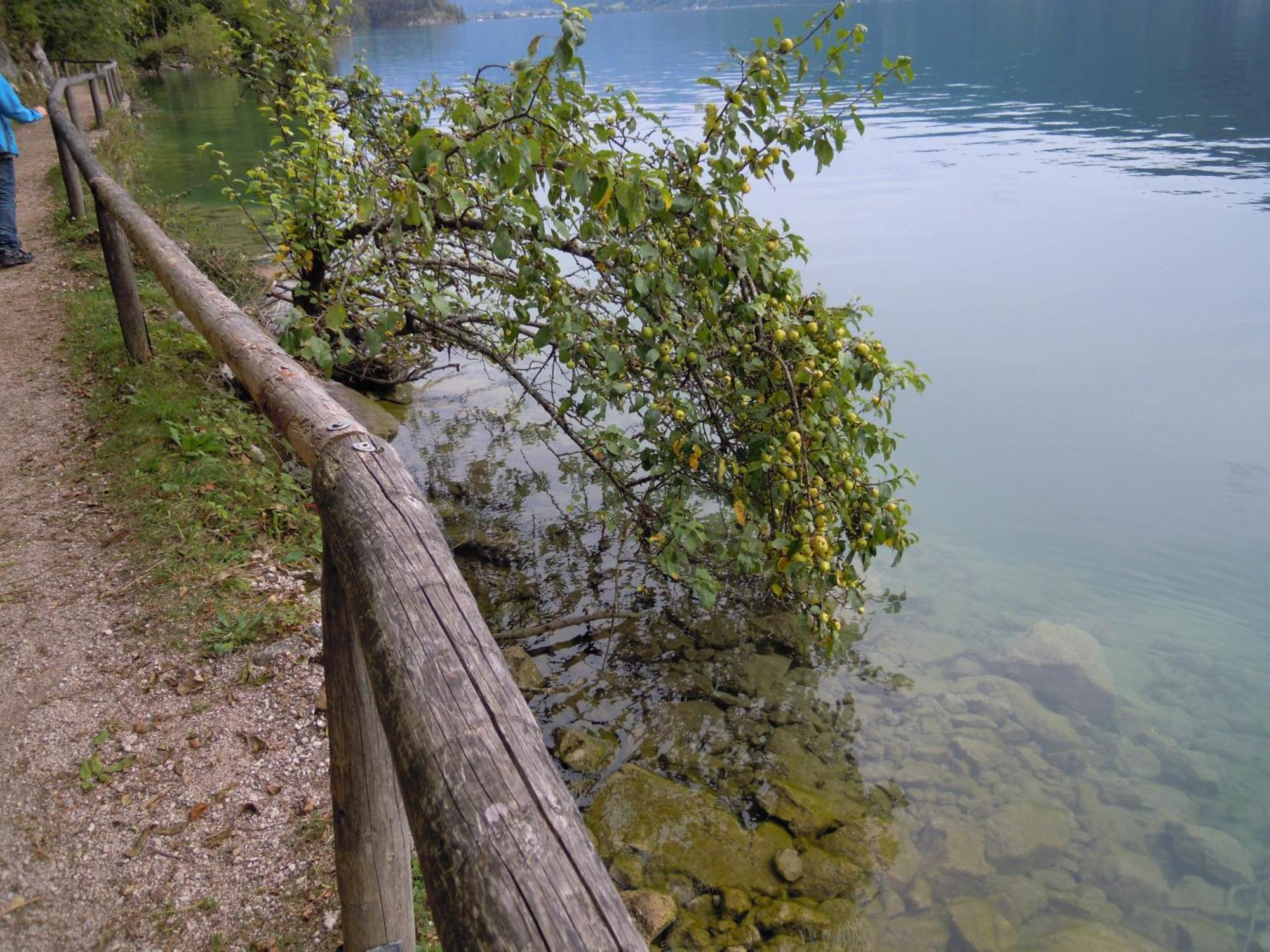 Haus Zimmermann Hotel Sankt Wolfgang im Salzkammergut ภายนอก รูปภาพ
